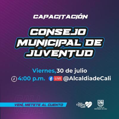 Capacitaci&oacute;n Concejo Municipal de Juventudes