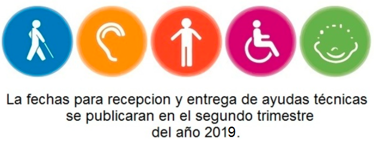 SDiscapacidad 2019