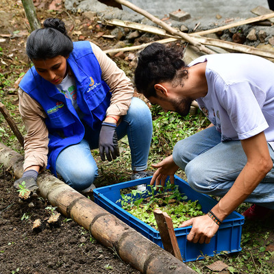 Con pala en mano, gestores comunitarios avanzan con la instalaci&oacute;n de huertas urbanas en comedores de Cali
