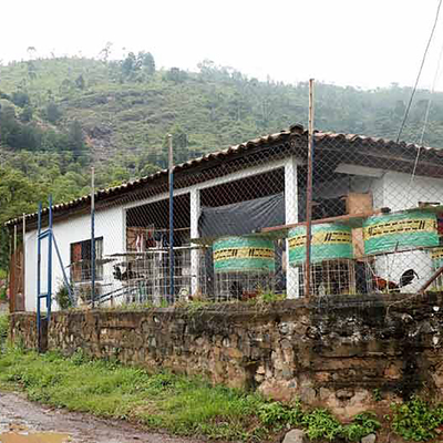 Los comedores comunitarios tambi&eacute;n est&aacute;n en los corregimientos