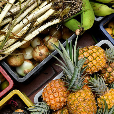 Alimentaci&oacute;n saludable, objetivo para los comedores comunitarios