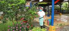 Este a&ntilde;o, se fortalecer&aacute;n 100 huertas m&aacute;s en los comedores comunitarios 