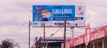 Cali se pronuncia contra el trabajo infantil