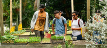 Gestores se capacitan en la creaci&oacute;n de huertas urbanas que integrar&aacute;n los comedores comunitarios de Cali 
