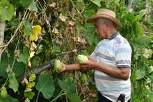 Comunidades rurales potencian Unidades Productivas con el programa  Coraz&oacute;n Contento