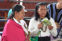 Cabildo Inga celebr&oacute; el &lsquo;D&iacute;a Internacional de los Pueblos Ind&iacute;genas&rsquo; 
