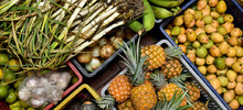 Alimentaci&oacute;n saludable, objetivo para los comedores comunitarios