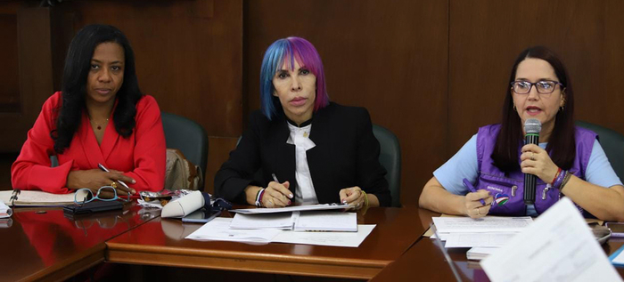Comit&eacute; de Pol&iacute;ticas Sociales: protecci&oacute;n y garant&iacute;a de derechos para infancia y adolescencia