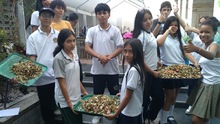 El cuidado del medio ambiente tambi&eacute;n es parte de la labor en los comedores comunitarios