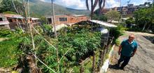 Las huertas comunitarias de los comedores promueven el cuidado del medio ambiente en los territorios