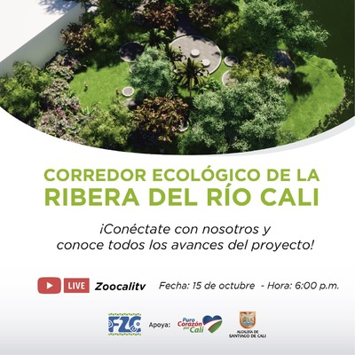Primer avance del Proyecto Corredor Ecol&oacute;gico de la Ribera del r&iacute;o Cali