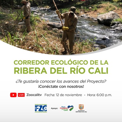 Segunda socializaci&oacute;n de los avances del Proyecto Corredor Ecol&oacute;gico de la Ribera del r&iacute;o Cali