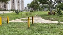 El sur de Cali sigue siendo el sector con m&aacute;s zonas verdes por persona 