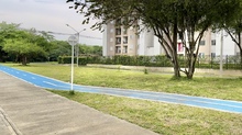 El sur de Cali sigue siendo el sector con m&aacute;s zonas verdes por persona 