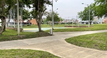 El sur de Cali sigue siendo el sector con m&aacute;s zonas verdes por persona 