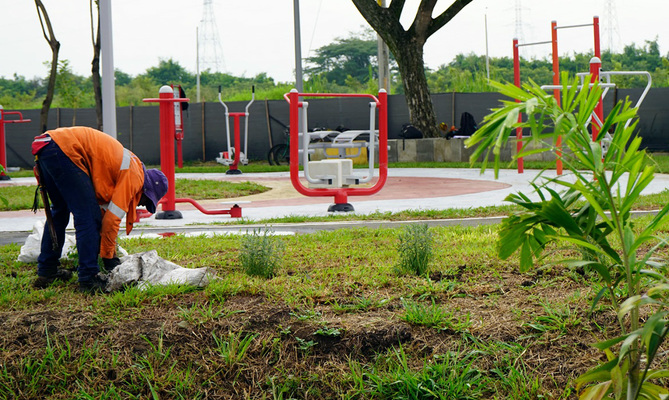 M&aacute;s de 12.000 metros cuadrados har&aacute;n parte del pulm&oacute;n verde del sur de Cali