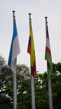 Cali recibe la COP16 ondeando banderas en la ciudad