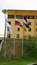 Cali recibe la COP16 ondeando banderas en la ciudad