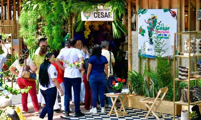 Alcald&iacute;a de Cali implementa pr&aacute;cticas de sostenibilidad con enfoque  ambiental en sus procesos de contrataci&oacute;n