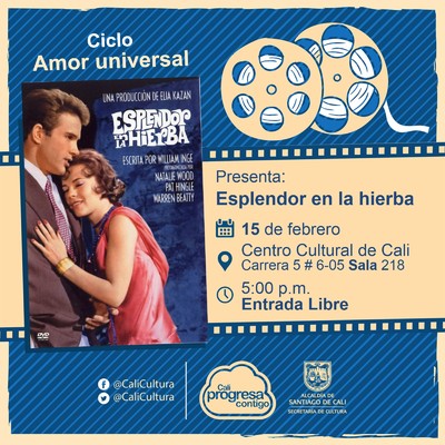 "Ciclo Amor universal  Pel&iacute;cula: Esplendor en la hierba de Elia Kazan  A&ntilde;o: 1961 Duraci&oacute;n: 124 minutos Estados Unidos" - Sala 218 &ndash; Centro Cultural de Cali