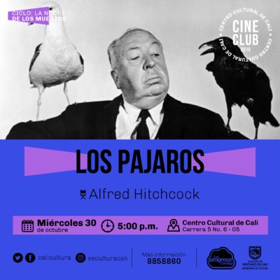 "Ciclo La noche de los muertos Pelicula: Los pajaros de Alfred Hitchcock A&ntilde;o: 1963 Duraci&oacute;n: 120 minutos USA" Sala 218 &ndash; Centro Cultural de Cali
