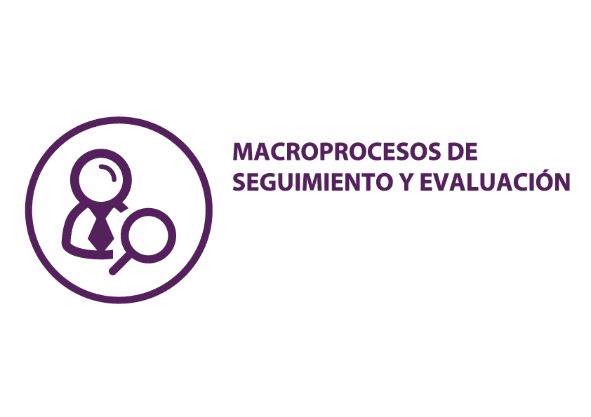 Macroprocesos de Seguimiento y Evaluación Macroprocesos de Seguimiento y Evaluación