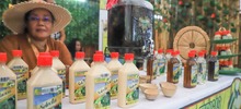 As&iacute; se logr&oacute; el Festival Petronio &Aacute;lvarez m&aacute;s grande de la historia