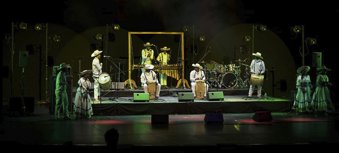 El Festival de M&uacute;sica del Pac&iacute;fico Petronio &Aacute;lvarez llega por primera vez al Festival WOMAD en Sud&aacute;frica
