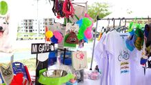 Expoferia fortalece el talento de artistas y emprendedores, en sus comunidades 