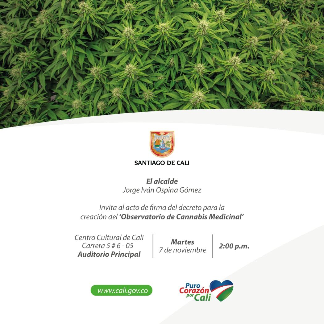 Mañana, firma del Decreto que crea Observatorio sobre cannabis medicinal Mañana, firma del Decreto que crea Observatorio sobre cannabis medicinal