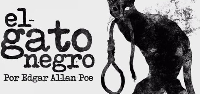 Un gato negro asusta en Felidia