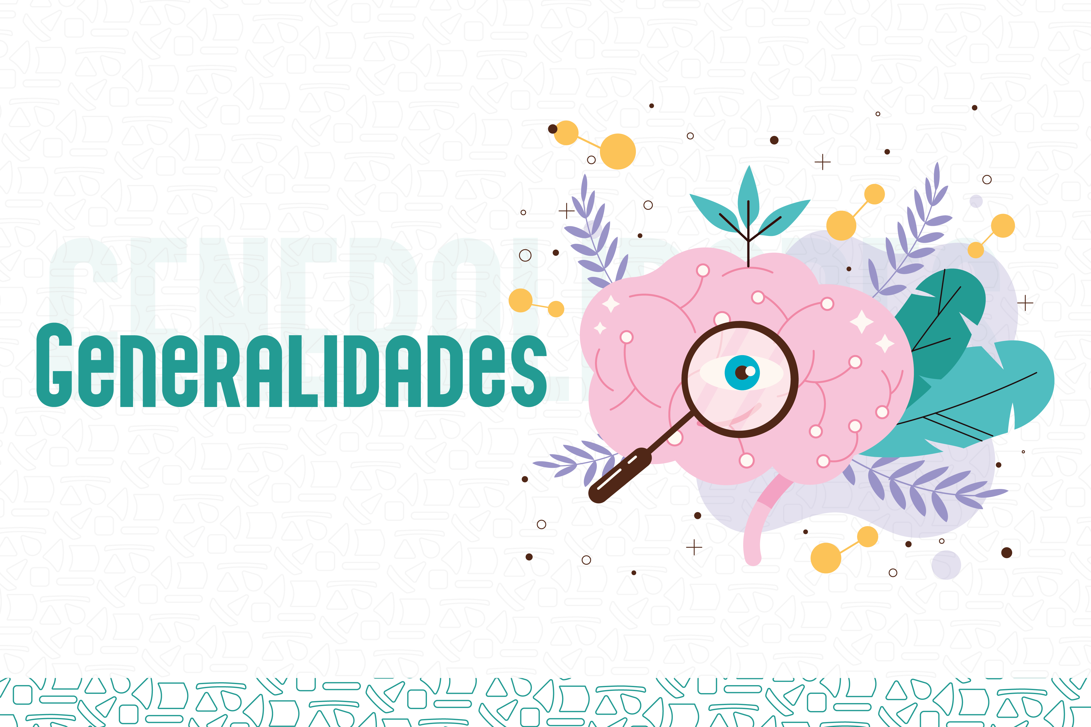 banner banner