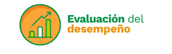 Evaluación del desempeño Evaluación del desempeño