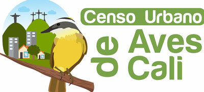 Cali se prepara para contar sus aves residentes y migratorias