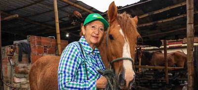Un nuevo comienzo para &lsquo;Zepel&iacute;n&rsquo;, el caballo que le ha dado todo a una familia del oriente de Cali