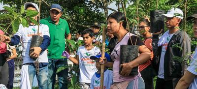Siembra masiva de &aacute;rboles contra el cambio clim&aacute;tico