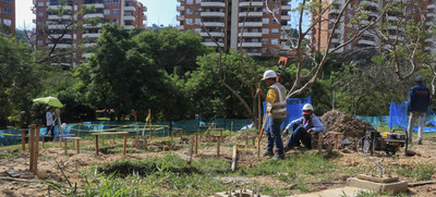 El Proyecto Integral Cristo Rey no genera ecocidio, ni arboricidio, ni riesgos de avalancha