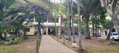 Para 2023, zonas verdes de Escuela Normal Superior Farallones de Cali se proyectan como bosque urbano