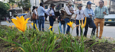 Dagma entrega varios separadores verdes a la ciudad