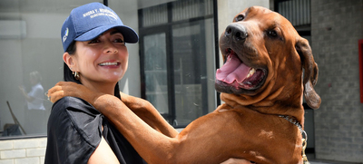 Centro de Bienestar Animal recibi&oacute; donaci&oacute;n de insumos para el beneficio de los seres sintientes
