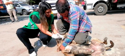 Dagma y Polic&iacute;a ambiental verifican acatamiento de mandatos de protecci&oacute;n animal