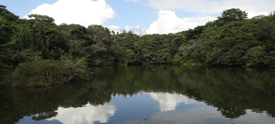Dagma rechaza actos contra el ecosistema en ecoparque Las Garzas