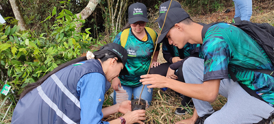 El &lsquo;Bosque de los Estudiantes&rsquo;: 7000 &aacute;rboles con pasi&oacute;n juvenil por Cali