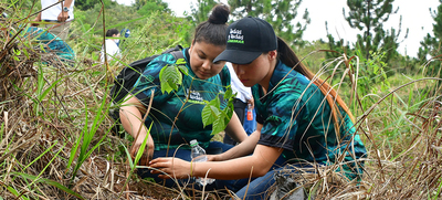Con la siembra de 2576 &aacute;rboles avanza El Bosque de los Estudiantes