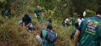Contin&uacute;a la conformaci&oacute;n del Bosque de los Estudiantes