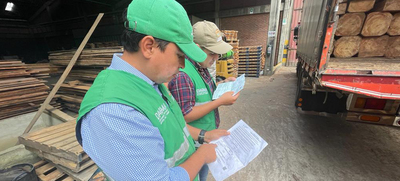 Operativos de control al tr&aacute;fico de flora silvestre contin&uacute;an dando resultados