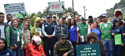 Autoridades ambientales hacen equipo para proteger el gran Bosque Pac&iacute;fico