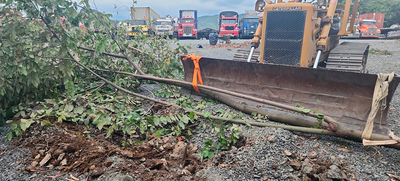 Dagma detecta reincidencia en transgresi&oacute;n ambiental