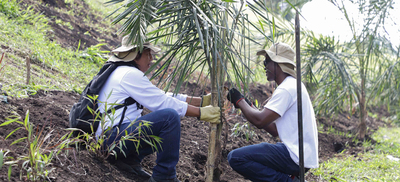 Foro ciudadano &lsquo;Jardines para la ReactivAcci&oacute;n&rsquo;