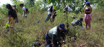 Con 120 &aacute;rboles plantados se celebr&oacute; el D&iacute;a del &Aacute;rbol, en el Coraz&oacute;n de Pance